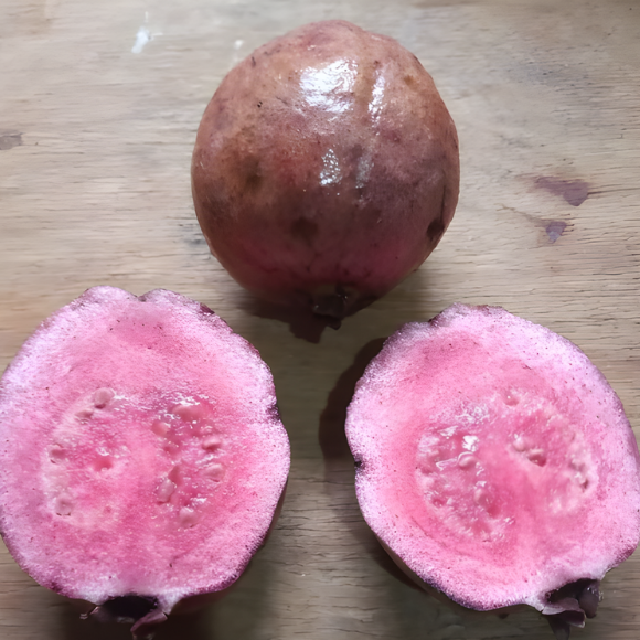 Imagem Fruto da Goiaba Roxa