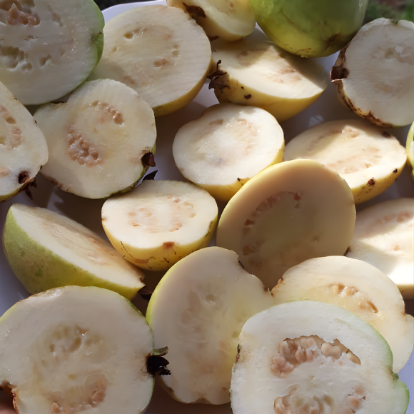 Imagem Fruto da Goiaba Branca
