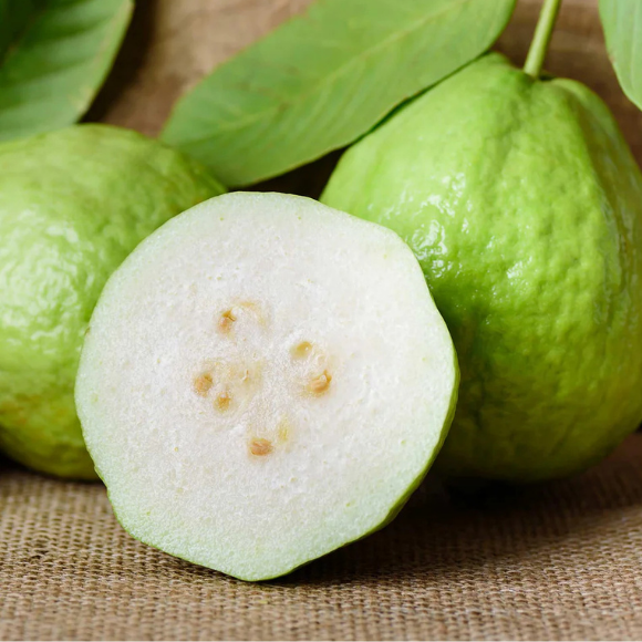 Imagem Fruto da Goiaba Branca