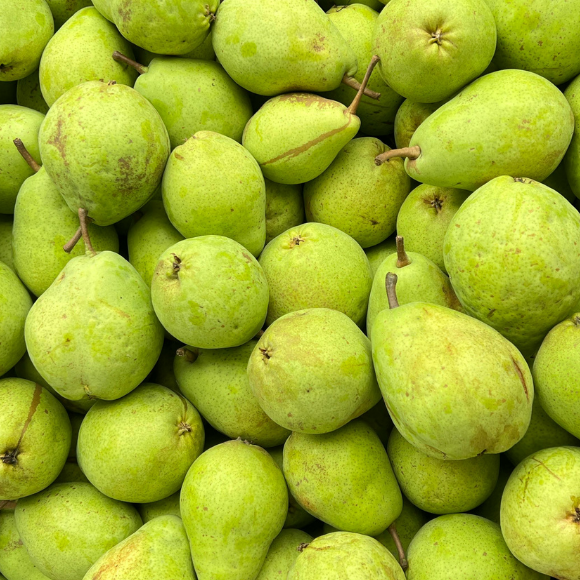 Imagem Fruto da Pera D'&Aacute;gua