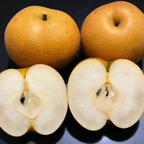 Imagem Fruto da Pera Nashi Ma&ccedil;&atilde;