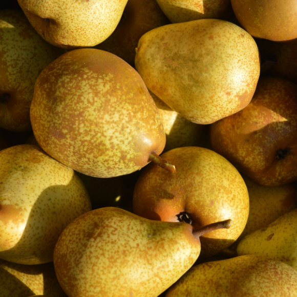 Imagem Fruto da Pera Keiffer