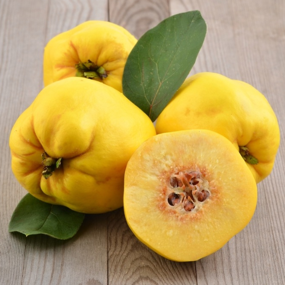 Imagem Fruto da do Marmelo Doce