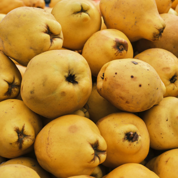 Imagem Fruto do Marmelo Doce