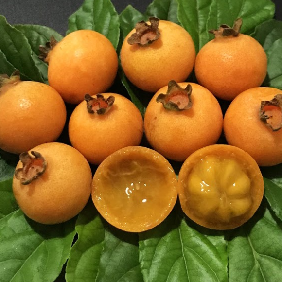 Imagem Fruto da Guabiroba