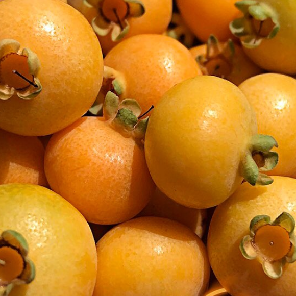 Imagem Fruto da Guabiroba