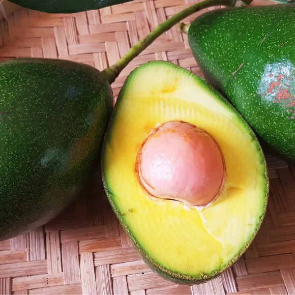 Imagem Fruto do Abacate Geada