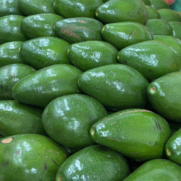 Imagem Fruto do Abacate Geada