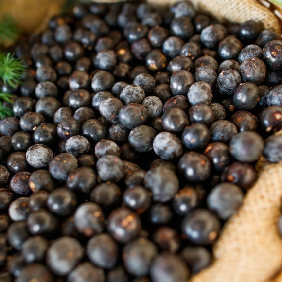 Imagem Fruto do A&ccedil;a&iacute;