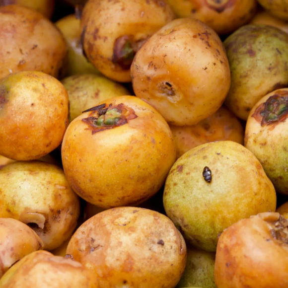 Imagem Fruto do Butiá