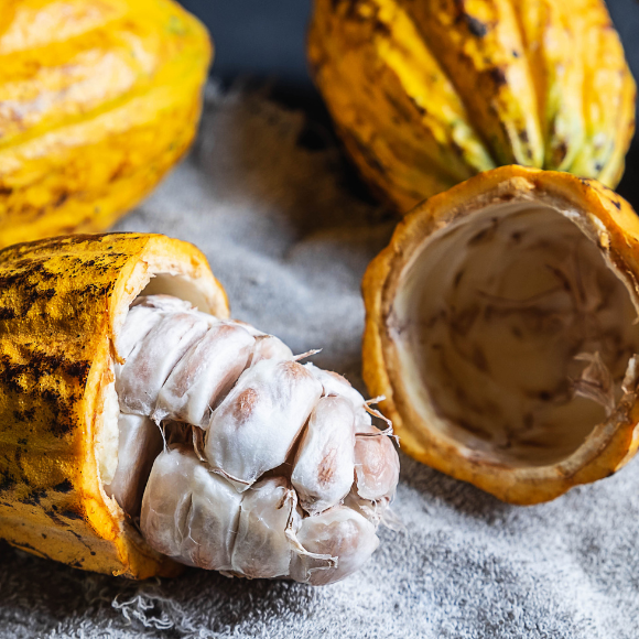 Imagem Fruto do Cacau