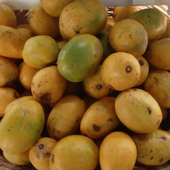 Imagem Fruto da Caj&aacute;-Manga