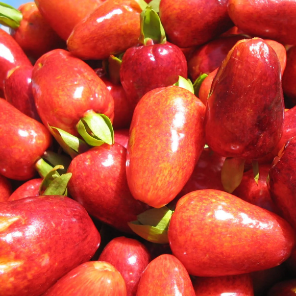 Imagem Fruto da Cereja do Rio Grande