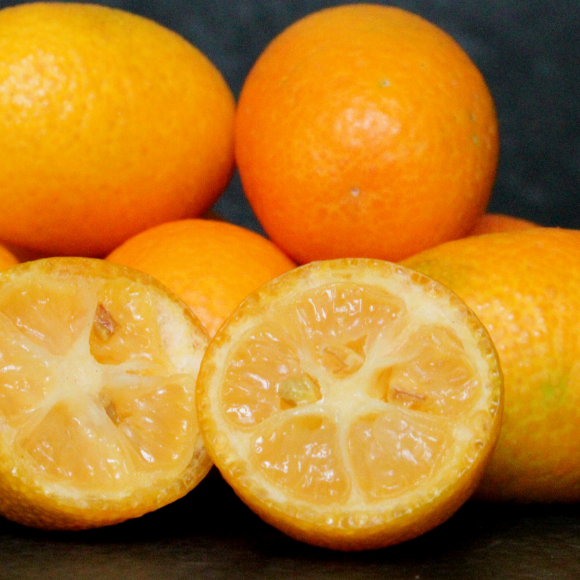 Imagem Fruto da Laranja Kinkan &Aacute;cida