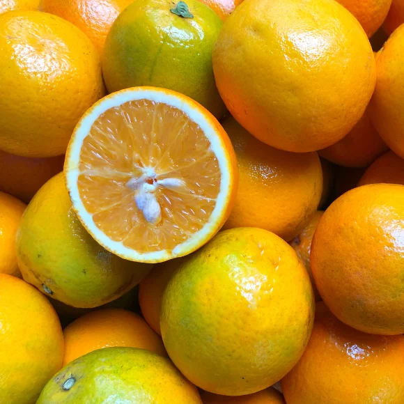 Imagem Fruto da Laranja Pera