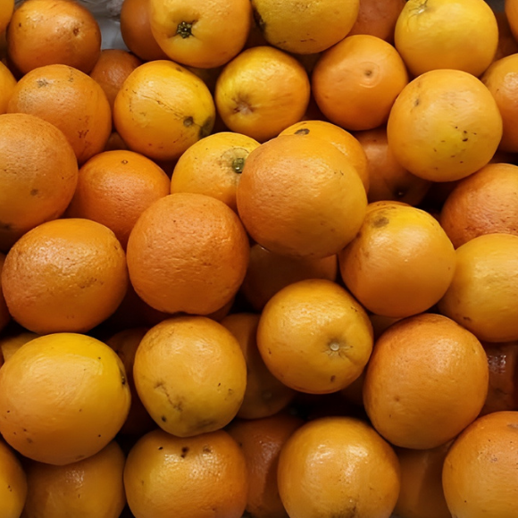 Imagem Fruto da Laranja Lima C&eacute;u