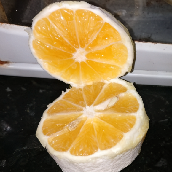 Imagem Fruto da Laranja Abacaxi