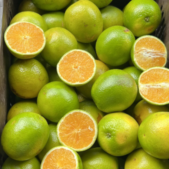 Imagem Fruto da Laranja Abacaxi