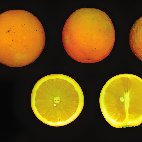 Imagem Fruto da Laranja Shamouti