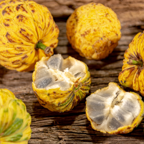 Imagem Fruto do Araticum