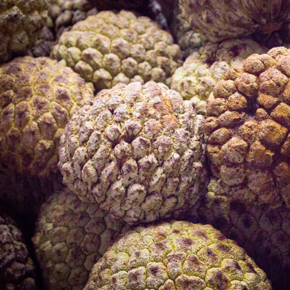 Imagem Fruto do Araticum