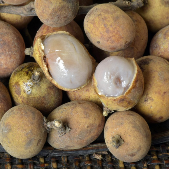 Imagem Fruto da Pitomba