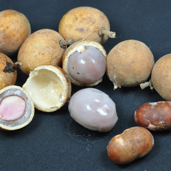 Imagem Fruto da Pitomba