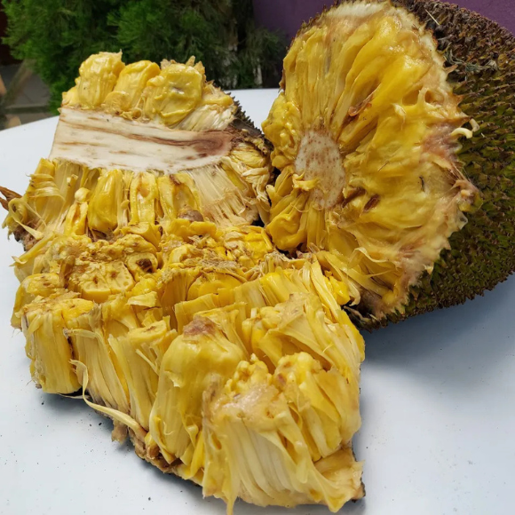 Imagem Fruto da Jaca Mole