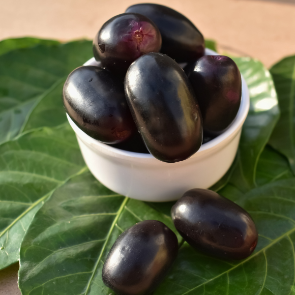 Imagem Fruto do Jambol&atilde;o