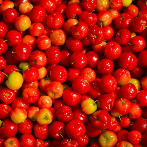 Imagem Fruto da Acerola Comum