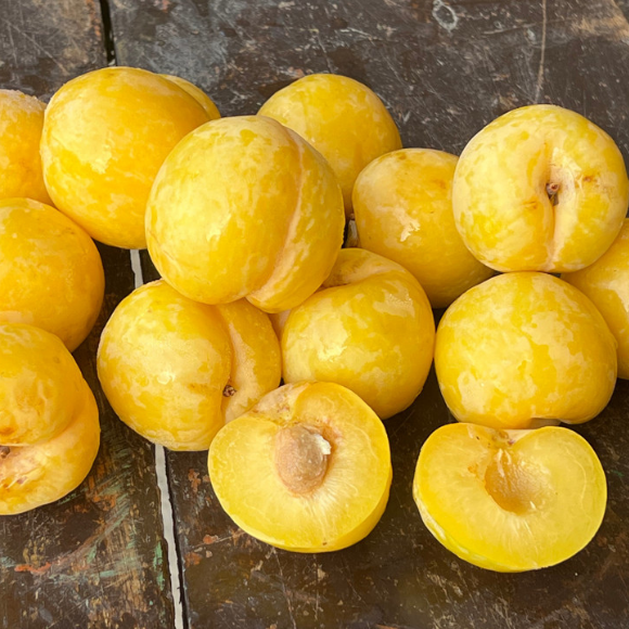 Imagem Fruto da Ameixa Amarelinha