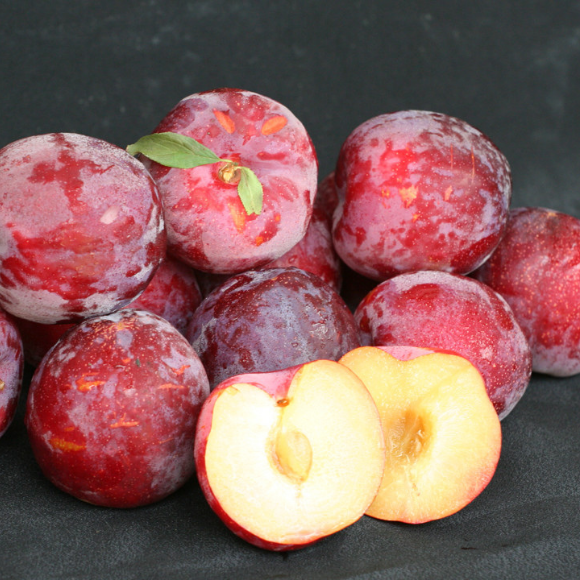 Imagem Fruto da Ameixa Fortune