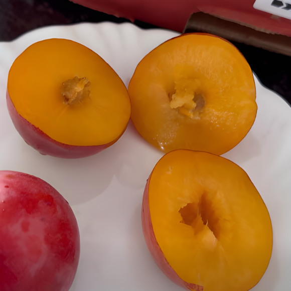 Imagem Fruto da Ameixa Reubennel
