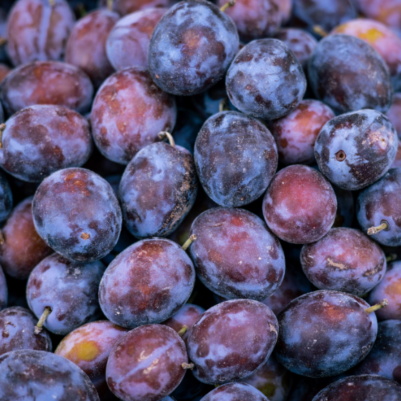 Imagem Fruto da Ameixa Roxa Comum