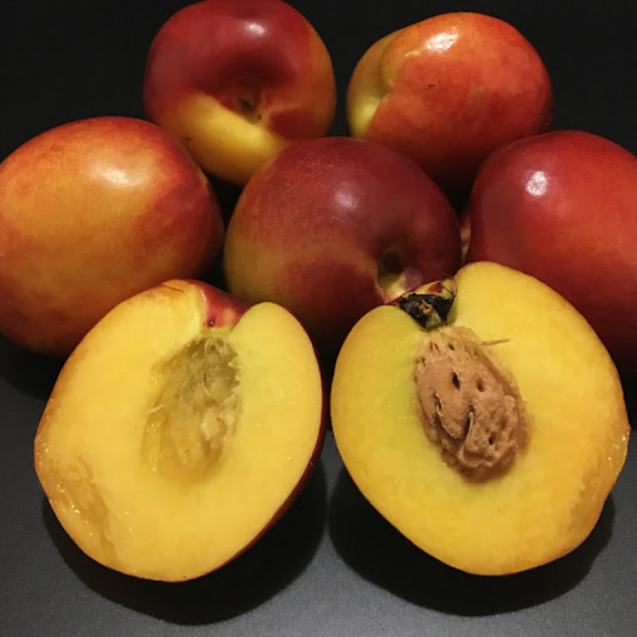 Imagem Fruto da Nectarina Aurojima
