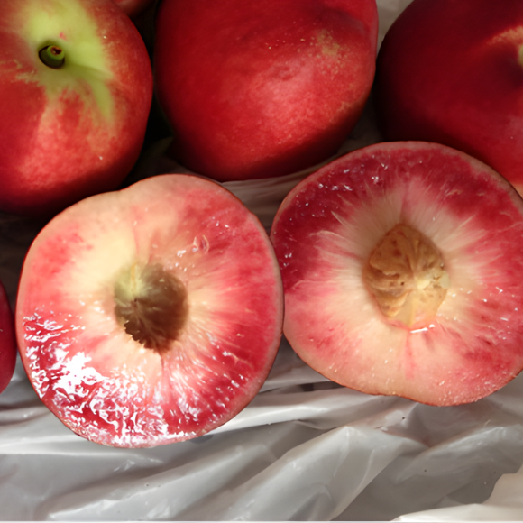 Imagem Fruto da Nectarina Nina