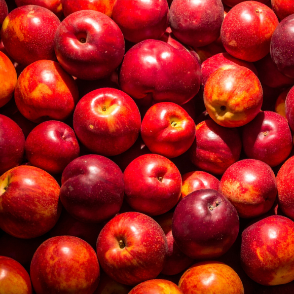 Imagem Fruto da Nectarina Nina