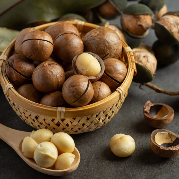 Imagem Fruto da Noz de Macad&acirc;mia