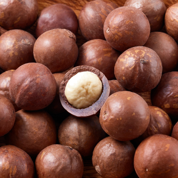 Imagem Fruto da Noz de Macadâmia
