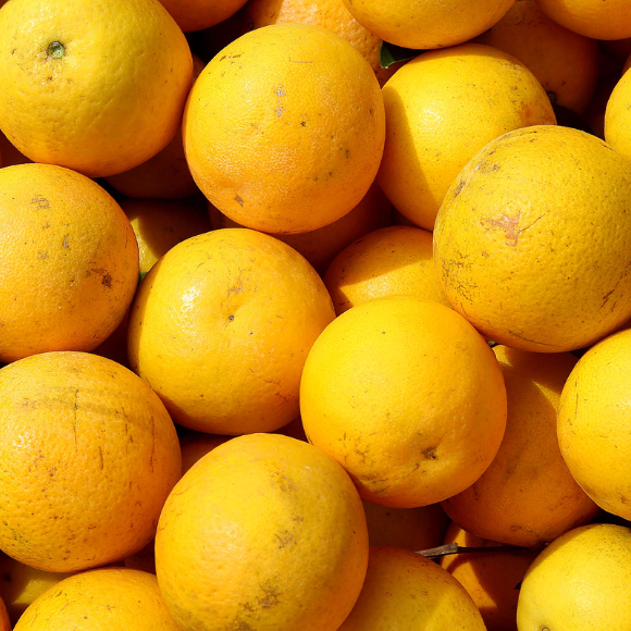 Imagem Fruto da Laranja Iapar 73