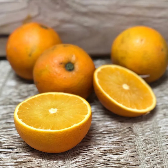 Imagem Fruto da Laranja Monte Parnaso