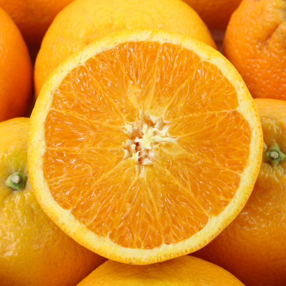 Imagem Fruto da Laranja Monte Parnaso