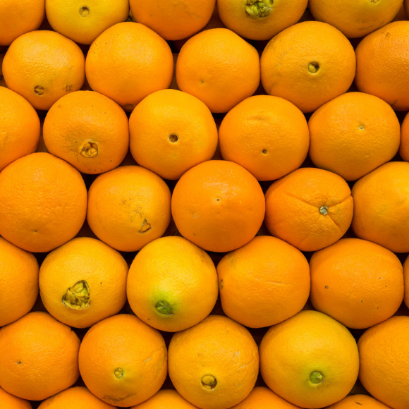 Imagem Fruto da Laranja Navelina