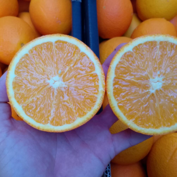 Imagem Fruto da Laranja Lanelate