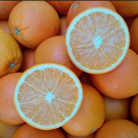 Imagem Fruto da Laranja Lanelate
