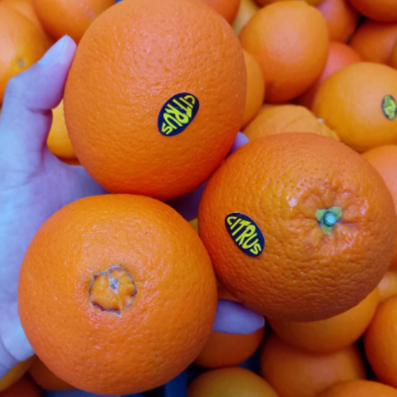 Imagem Fruto da Laranja Lanelate