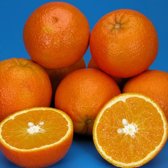 Imagem Fruto da Laranja Rubi