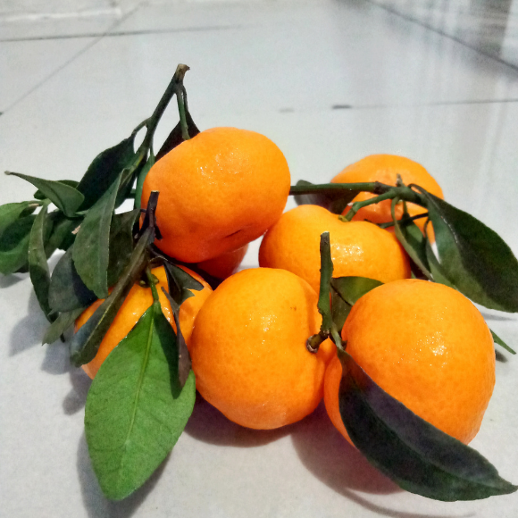 Imagem Fruto da Tangerina A&ccedil;&uacute;car