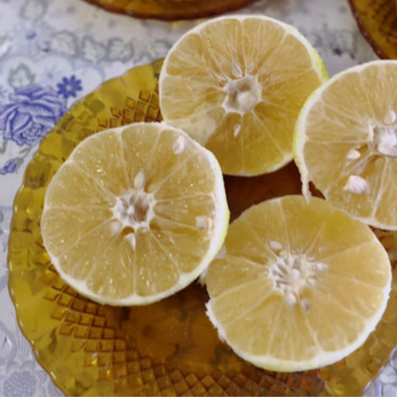 Imagem Fruto da Tangerina Champagne