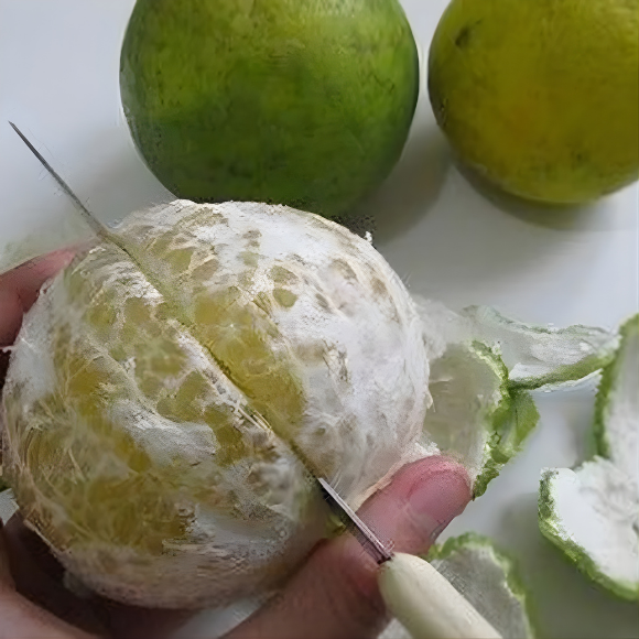 Imagem Fruto da Tangerina Champagne